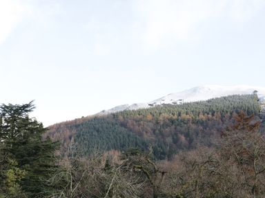 A mountain with snow at the top and forested hills below with bare trees at Wrenville in Keswick