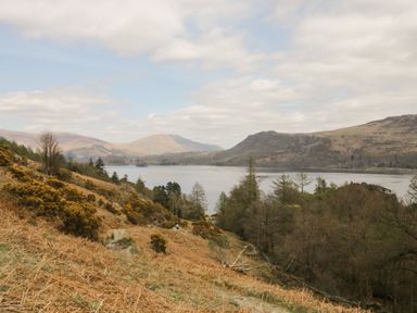A hillside with bushes and trees overlooking a lake and mountains at St Johns View in Keswick