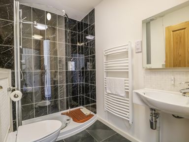 A bathroom with a toilet shower with black tiles sink and white towel radiator at Esthers Barn in Cockermouth