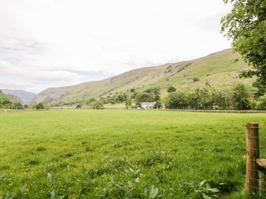 A grassy field with yellow flowers and a mountain range in the background at Thirlmere Suite in Thirlmere