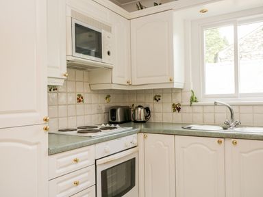 A kitchen with white cabinets a green countertop an electric stove oven microwave toaster kettle and a window at Thirlmere Suite in Thirlmere