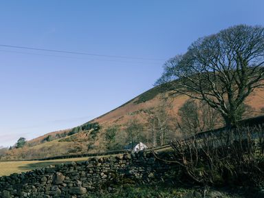 A hillside landscape with a stone wall, leafless trees, and a small white house at Scales Cottage in Lorton near Cockermouth