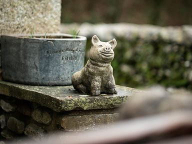 A stone pig statue next to a planter on a stone ledge at Grayrigg Foot Stable in Grayrigg