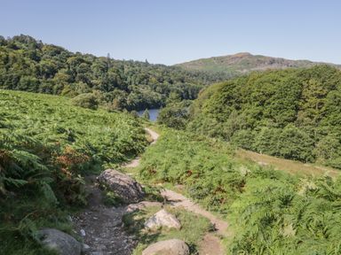 A dirt path winding through greenery and trees with hills in the background at Tanner Croft Cottage in Grasmere