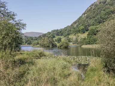 A lake with lily pads surrounded by trees and hills at Tanner Croft Cottage in Grasmere