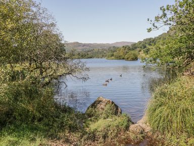 A lake with ducks swimming surrounded by trees and hills at Tanner Croft Cottage in Grasmere