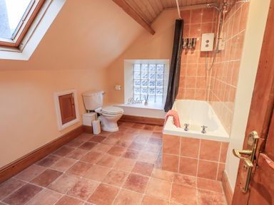 A bathroom with a bathtub shower combination toilet and skylight window at Granary Nook in Windermere