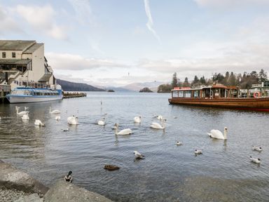 A lake with swans ducks and boats near a building and trees at Tree Tops View in Bowness-On-Windermere