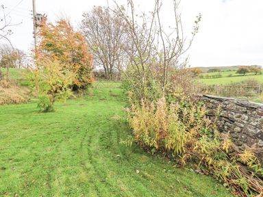 A grassy garden with bushes trees and a stone wall at Tithe Cottage in Cockermouth