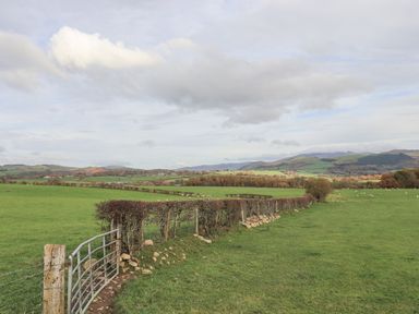 Green fields with a metal gate and a hedge fence with hills in the background at Tithe Cottage in Cockermouth