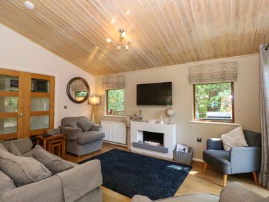 A living room with grey sofas a black rug a fireplace and a wall mounted television at Footprints Lodge in Windermere