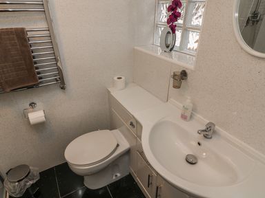 A bathroom with a toilet towel rack sink mirror and a flower vase at Long Crag Annexe in Ambleside