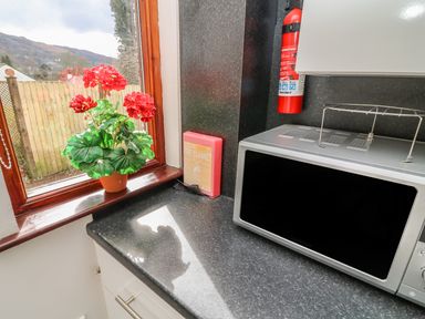 A kitchen countertop with a microwave fire extinguisher fire blanket and a potted plant by a window at Long Crag Annexe in Ambleside