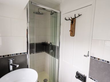 A bathroom with a glass shower enclosure a round white sink and a wooden wall hook shaped like antlers at Walkers Rest in Windermere