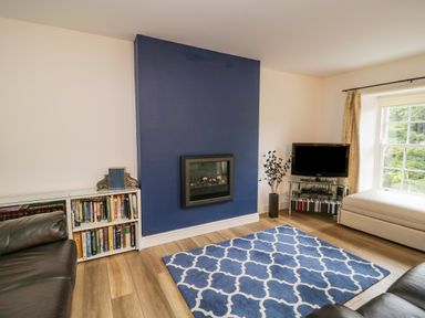 A living room with a blue patterned rug a blue accent wall with a fireplace bookshelves leather sofas a glass TV stand and a window with curtains at Derwentwater Apartment in Keswick