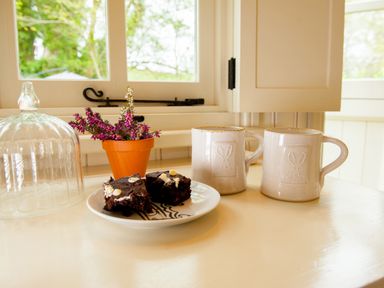 A kitchen table with two mugs brownies a flower pot and a glass cloche at The Snug in Longtown