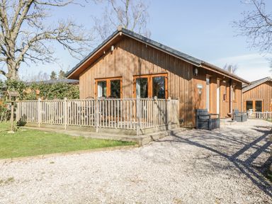 A wooden house with a porch and chairs on a gravel driveway surrounded by trees at Holmedell in Greystoke