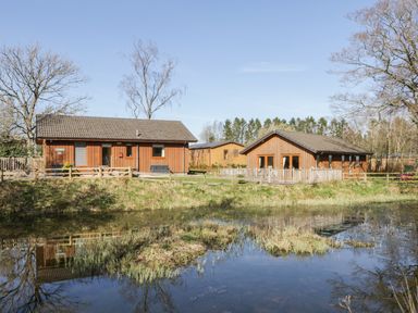 Wooden houses near a pond with grass and trees at Holmedell in Greystoke