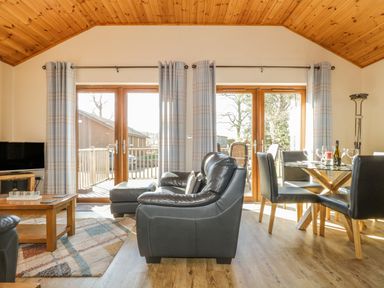 A living room with black leather sofa a glass dining table and wooden ceiling at Holmedell in Greystoke