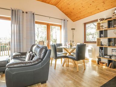 A living room with a leather sofa glass dining table and wooden shelves at Holmedell in Greystoke