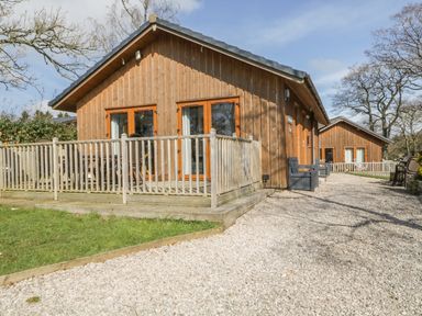 Exterior view of wooden cabins with fenced patios and gravel pathway surrounded by grass and trees at Holmedell in Greystoke