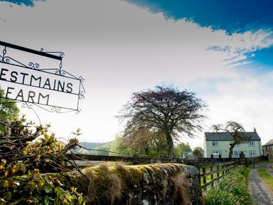 A front yard with a moss-covered stone wall a sign reading Westmains Farm a tree a gravel pathway and a house in Penton
