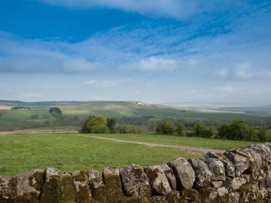 A rural landscape with green fields trees and a stone wall at Westmains Farm in Penton