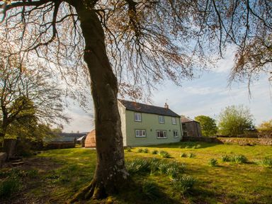 A green two-story house with several windows surrounded by grass and trees at Westmains Farm in Penton
