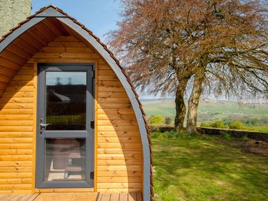 A wooden pod with a glass door next to a large tree and grassy field at Westmains Farm in Penton