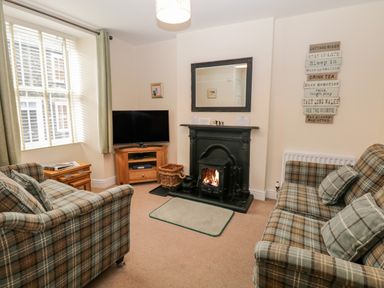 A living room with plaid sofas a wood stove on a black fireplace a TV on a wooden corner stand and a window with blinds at Raglan Cottage in Bowness-on-WIndermere