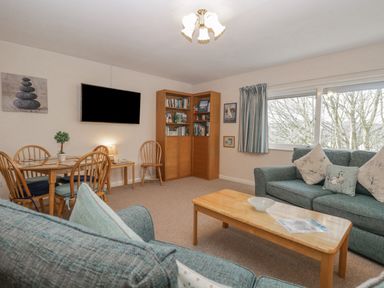 A living room with blue sofas a wooden coffee table dining table with chairs a bookshelf a wall mounted TV and a window at Treetops in Windermere