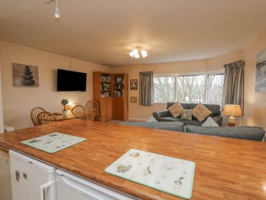 A living room with a wooden dining table and chairs a mounted television a bookshelf sofas with cushions and windows with curtains at Treetops in Windermere