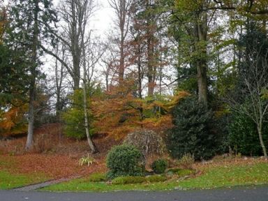 A wooded area with various trees and shrubs beside a paved road at 5 Keswick Bridge in Keswick