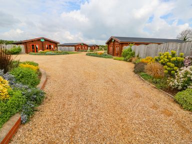 A pathway with gravel leading to several wooden lodges surrounded by plants and flowers at Ash Lodge in Greetham Rutland