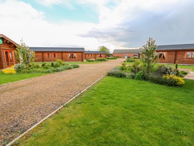 Gravel driveway leading to brown wooden lodges with green lawns and bushes at Sycamore Lodge in Greetham Rutland
