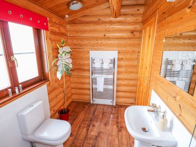 A bathroom with a toilet sink a heated towel rack and a potted plant at Church View in Greetham Rutland