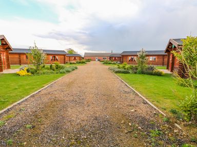 A gravel pathway between wooden log cabins with grass and plants on both sides at Cedar Lodge in Greetham Rutland
