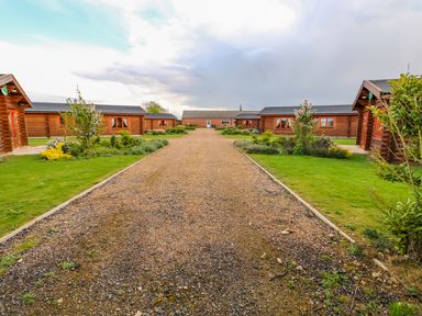 Gravel path leading to wooden lodges with green lawns and shrubs at Cedar Lodge in Greetham Rutland