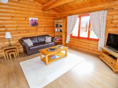 A living room with a brown leather sofa wooden coffee table bookshelves and a television at Beech Lodge in Greetham Rutland