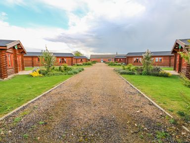 A gravel driveway lined with grass and bushes leading to wooden cabins with orange window frames in a rural setting at Beech Lodge Greetham Rutland