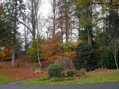A forested area with various trees and bushes beside a paved pathway at 13 Keswick Bridge in Keswick