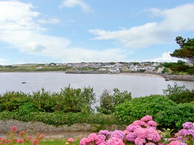 A bay with houses on the opposite side and flowers in the foreground at Angorfa in Cemaes Bay