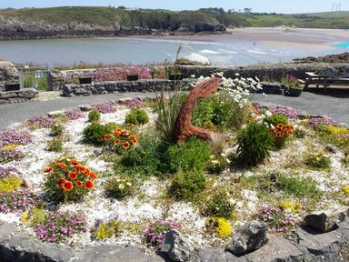 A garden with flowers and an anchor sculpture by the sea at Angorfa in Cemaes Bay
