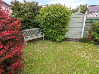 A garden with a green bench surrounded by red and green bushes and a green wooden gate at Castle School House in Kidwelly