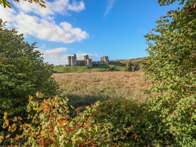 A view of a castle surrounded by grass and trees at Castle School House in Kidwelly