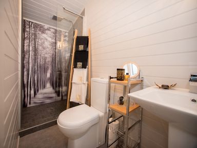 A bathroom with a toilet, pedestal sink, shelving unit, towel ladder, and a walk-in shower with a forest mural at Reflection in Longtown