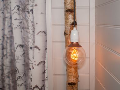 A hanging light bulb attached to a birch log on a wall with white paneling and a birch tree curtain at Reflection in Longtown
