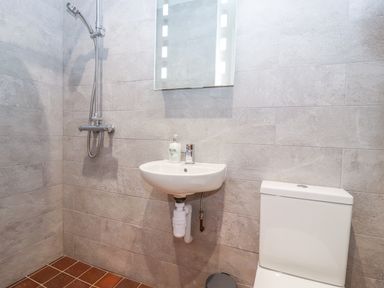 A bathroom with a shower head sink with soap dispenser and a toilet at Llys Alaw in Llangernyw