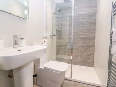 A bathroom with a sink, toilet, and a walk-in shower at Llys Alaw in Llangernyw
