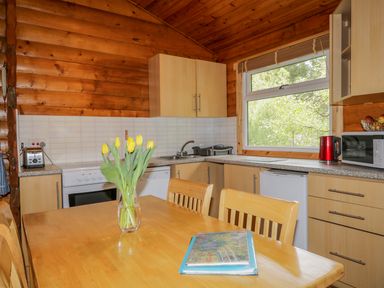 A kitchen with wooden cabinets a table with yellow flowers and a window showing green foliage at Eagle Lodge in Strathpeffer